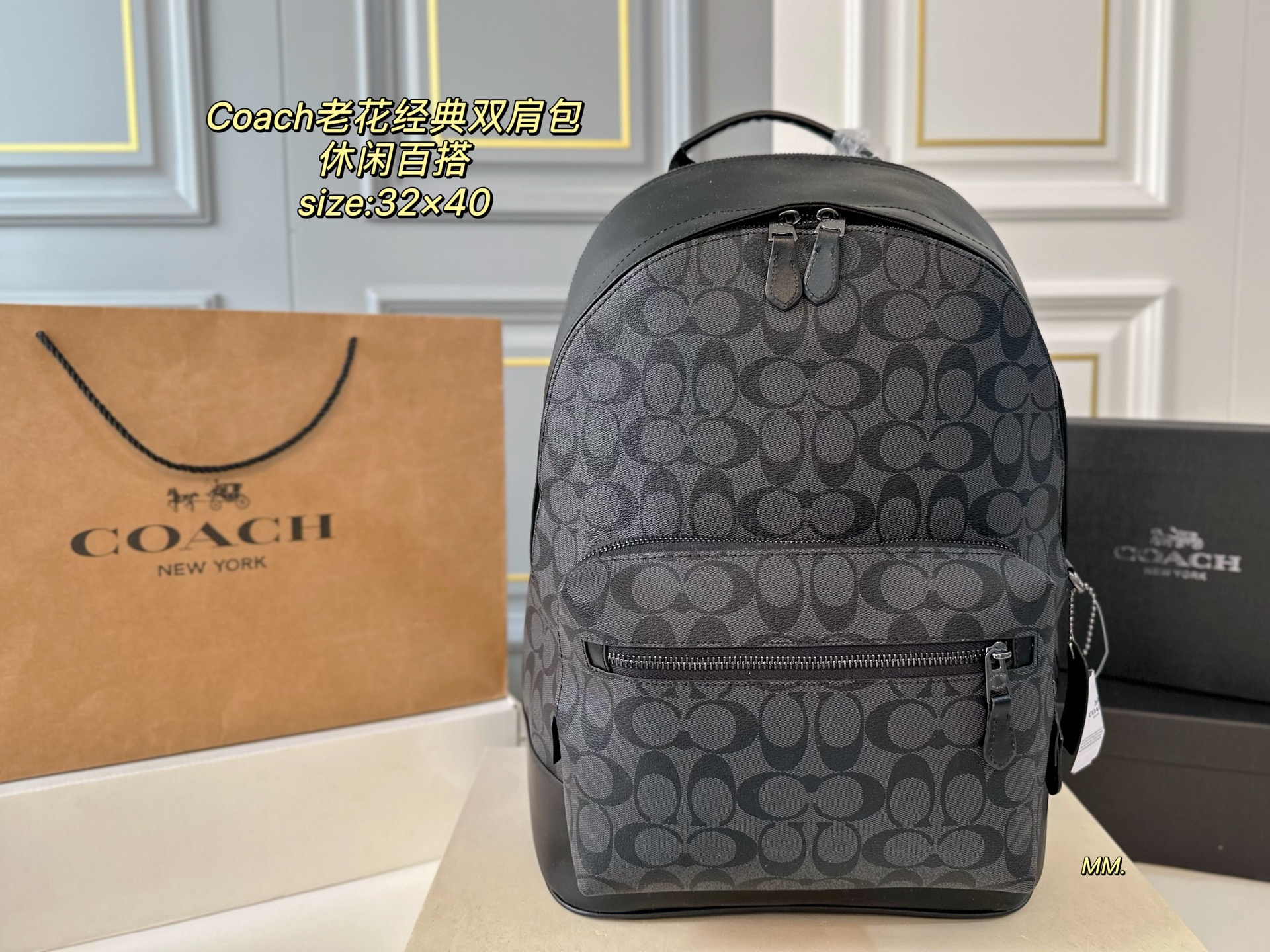 coach bag 234